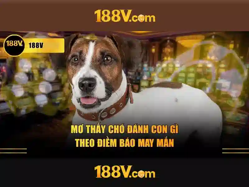 Giao diện nhà cái hoàn hảo