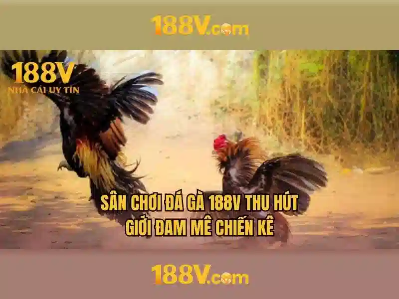 Giao diện nhà cái hoàn hảo