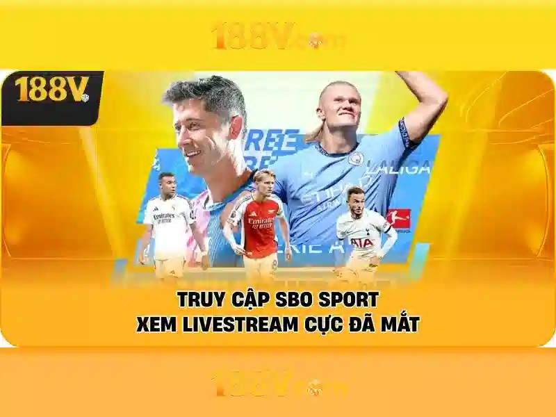 Cấu trúc và con đường của dữ liệu 188v