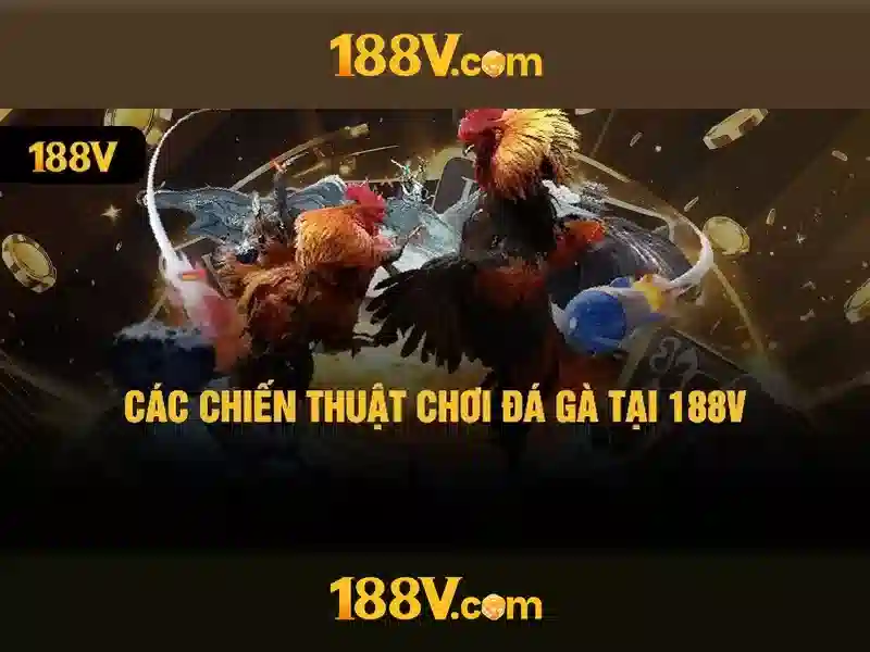 Giao diện nhà cái hoàn hảo