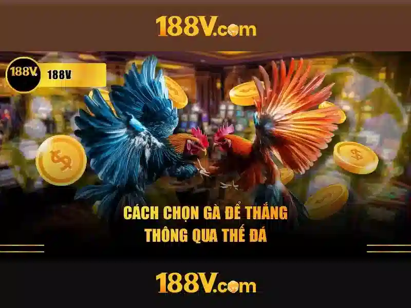 Kết luận