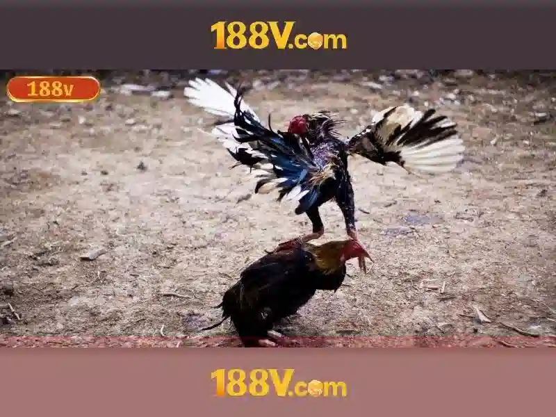 188v và hành trình đổi mới