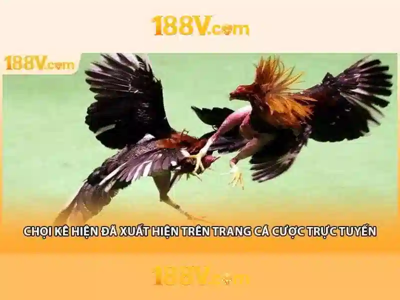 Trải nghiệm người dùng và phản hồi cộng đồng