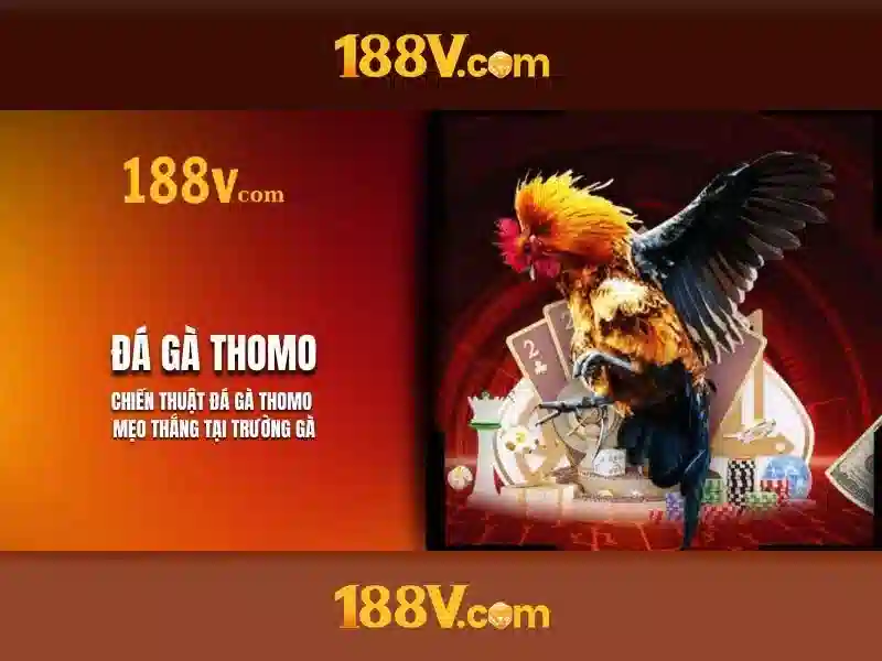 Triển khai và an toàn