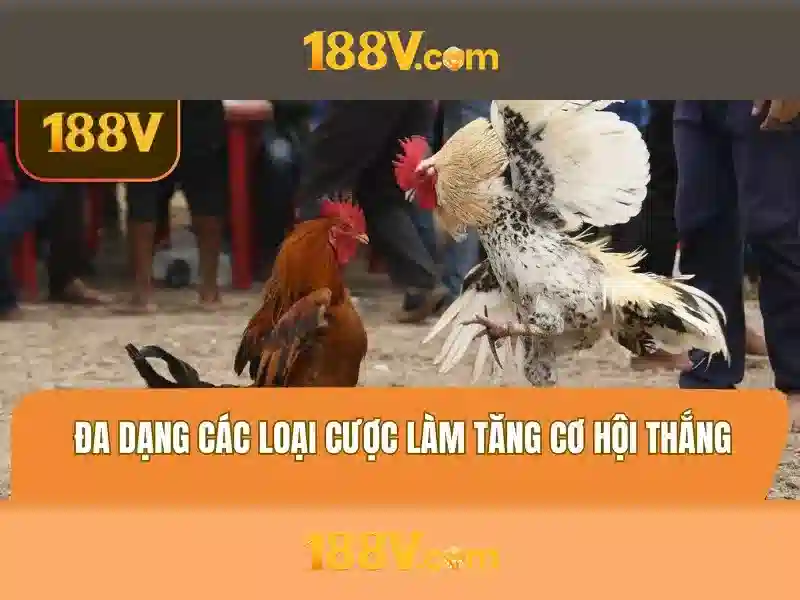 Ứng dụng và thực hành tốt nhất ở 188V