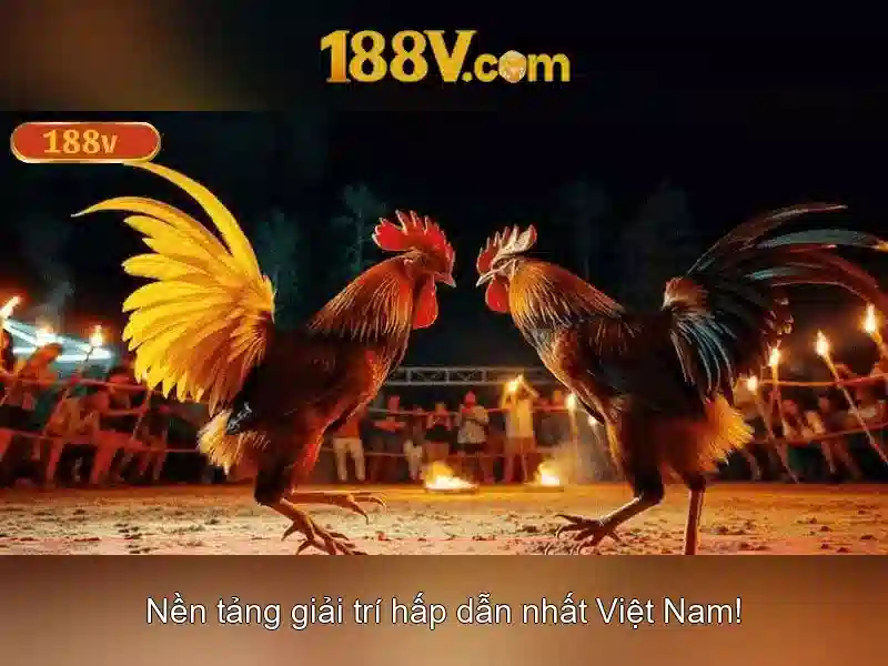 Kết luận