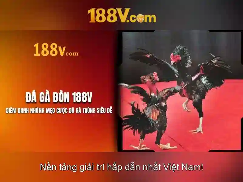 188v – một hiện tượng số và văn hóa Giao diện nhà cái hoàn hảo
