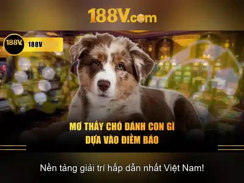 Nguồn gốc và sự phát triển