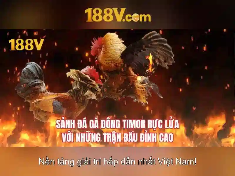 Giao diện nhà cái hoàn hảo
