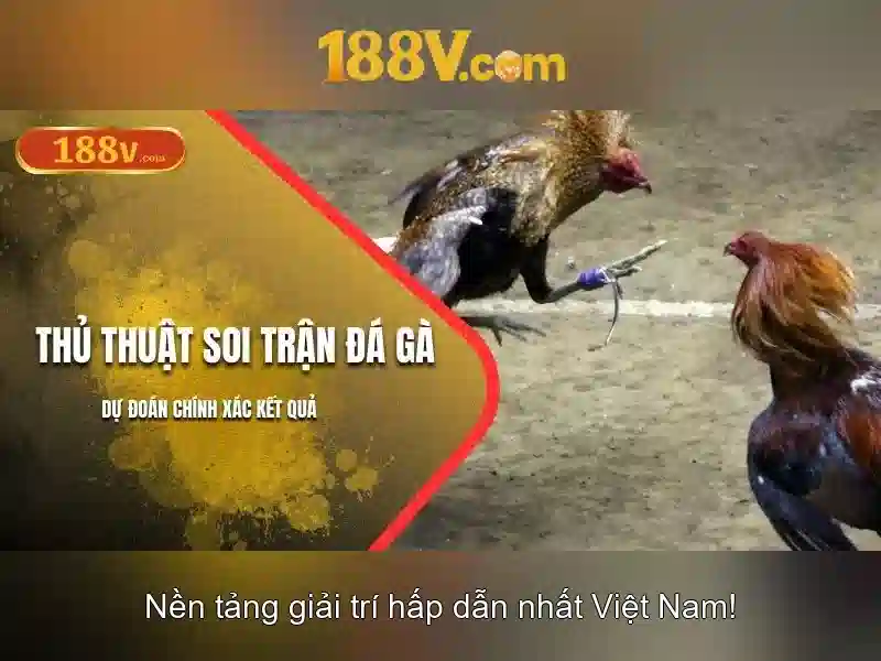 Nguồn gốc và tiêu chuẩn an toàn