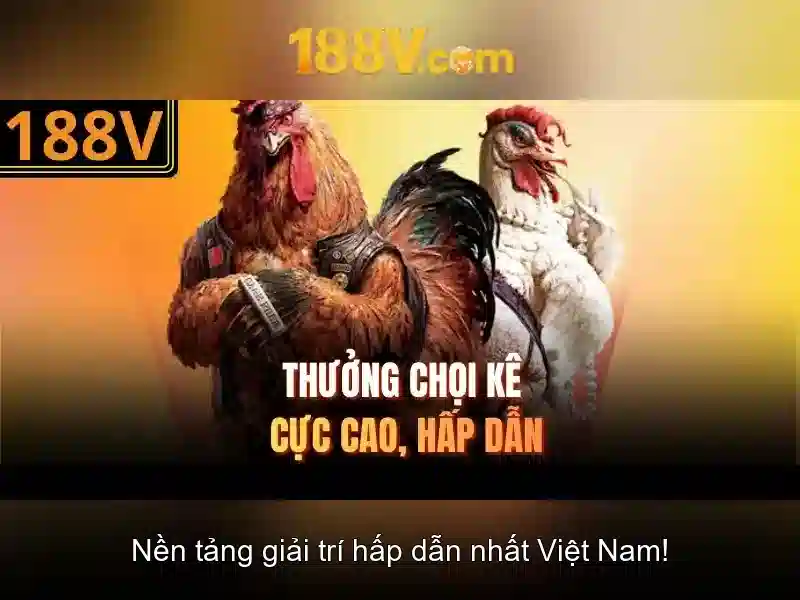 Đo và hiệu chuẩn 188V