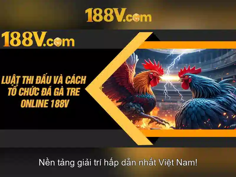 Kết luận về 188v