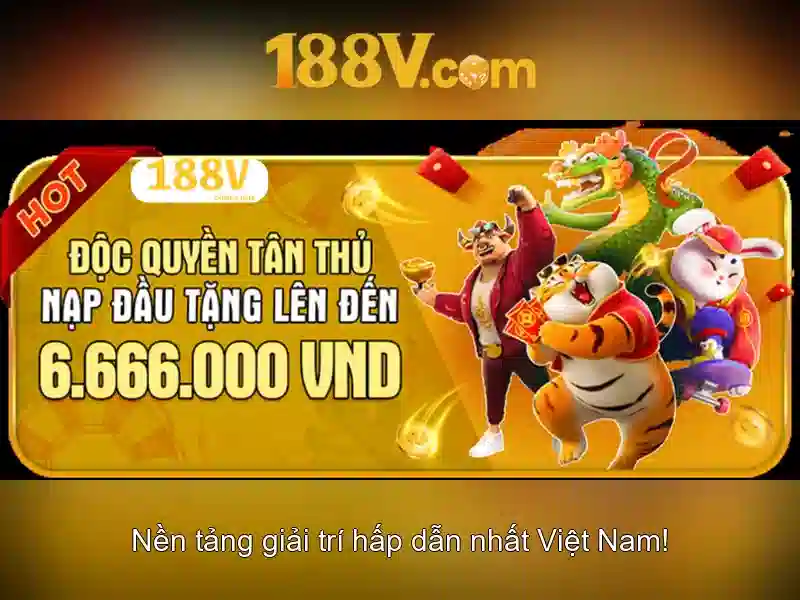 Đặc điểm và chức năng