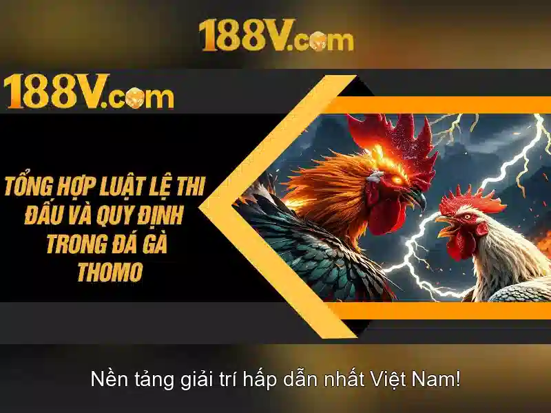 Giao diện nhà cái hoàn hảo