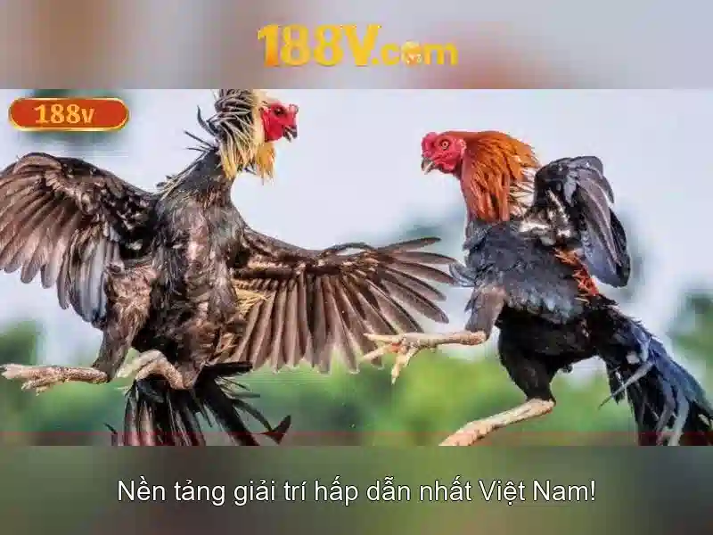Giao diện nhà cái hoàn hảo