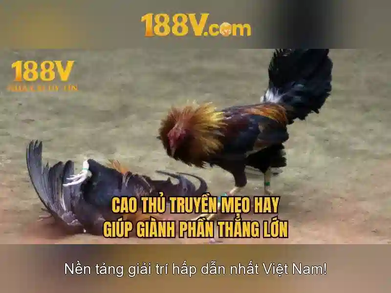 Ứng dụng trong đời sống