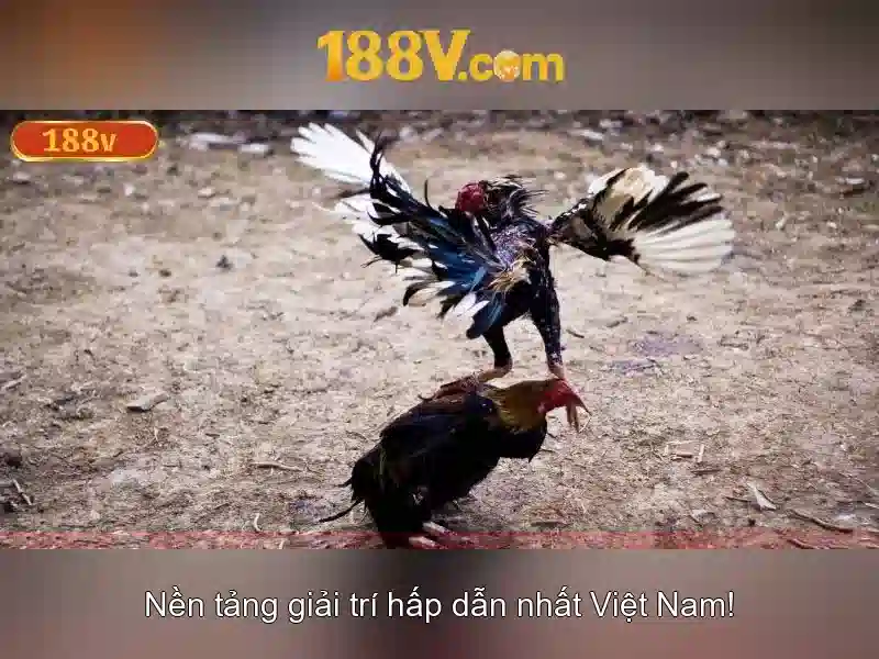 Ý nghĩa của 188v trong văn hóa số