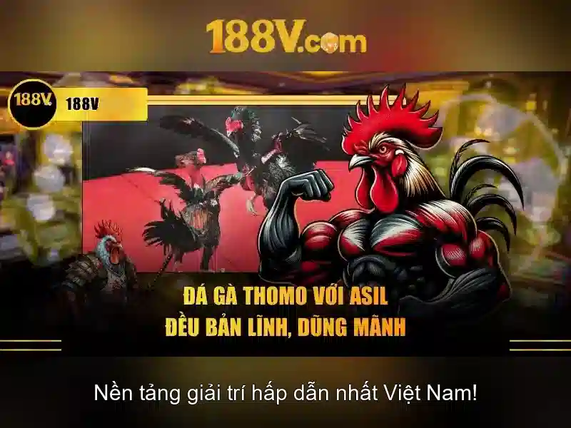 188v tại – Tổng quan và Giá trị cốt lõi